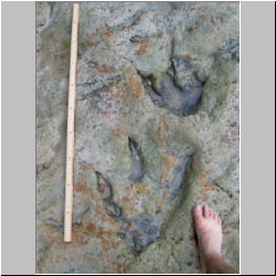 100_0953 (2009-28-07)m.JPG